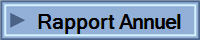 Rapport Annuel