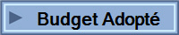 Budget Adopt