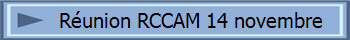 Runion RCCAM 14 novembre